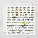 Search for catfish cards Bass