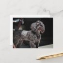 Search for smiling dog postcards Pet