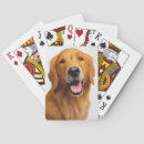 Search for golden retriever gifts Cute