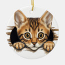 Search for brown tabby cat christmas tree decorations Kitten