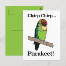 Search for budgie parakeet postcards Funny