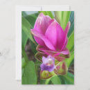 Search for thailand invitations Tropical