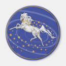 Search for maree magnets Pony