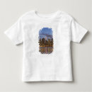 Search for midtown tshirts Architecture
