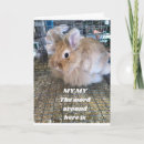 Search for funny bunny birthday cards Friend