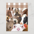 Search for farm pig postcards Cow