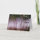 Search for everglades cards Nature