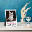 Search for funny cat plaques Kitten