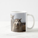 Search for alaskan malamute dog mugs Animal