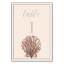 Search for seashells table cards Island