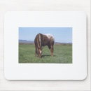 Search for grazing mouse mats Horse