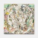 Search for 1665 magnets Cellarius