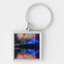 Search for exploding key rings Photography