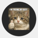 Search for cat meme stickers Design