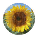 Search for sunflower chopping boards Decorative