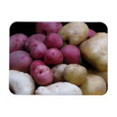 Search for cooked vegetables magnets Food