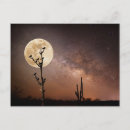 Search for desert bird postcards Landscape