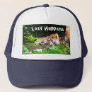 Search for tigers in hats Wildlife
