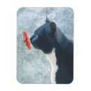 Search for black cat magnets Steampunk