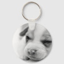 Search for cute pit bull key rings Animal