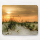 Search for sand dune electronics Photography