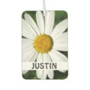 Search for daisy car air fresheners Photography