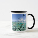 Search for stingrays mugs Underwater