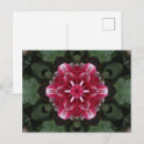 Search for floral mandala postcards Nature