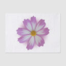 Search for transparent tissue paper Purple