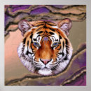 Search for purple tiger posters Gold