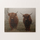 Search for highland cattle puzzles Horns