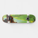 Search for missions skateboards Concept