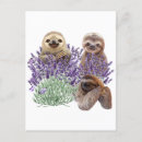 Search for cartoon sloth postcards Animals