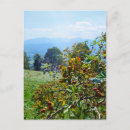 Search for tatra postcards Zakopane