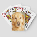 Search for golden retriever playing cards Cute