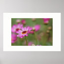 Search for home office art Pink