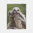 Search for owl blankets Photography