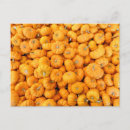 Search for fall harvest postcards Garden