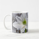 Search for amaryllis mugs Nature