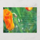 Search for 13 horizontal postcards Scripture