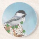 Search for birdie coasters Birdy