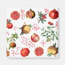 Search for pomegranate magnets Summer