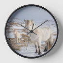 Search for pony clocks Snow