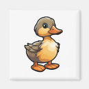 Search for beak square magnets Duck