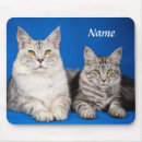 Search for long haired cat electronics Animal