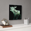 Search for moose clocks Nature