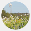 Search for texas wildflower stickers Blue