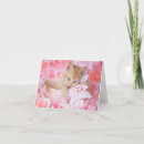 Search for cat basket cards Roses