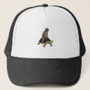 Search for tortoises hats Cute