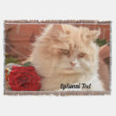 Search for orange tabby cat blankets Feline
